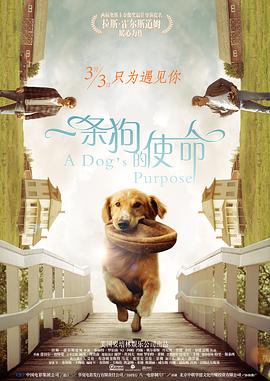 99久久99久久久精品久久